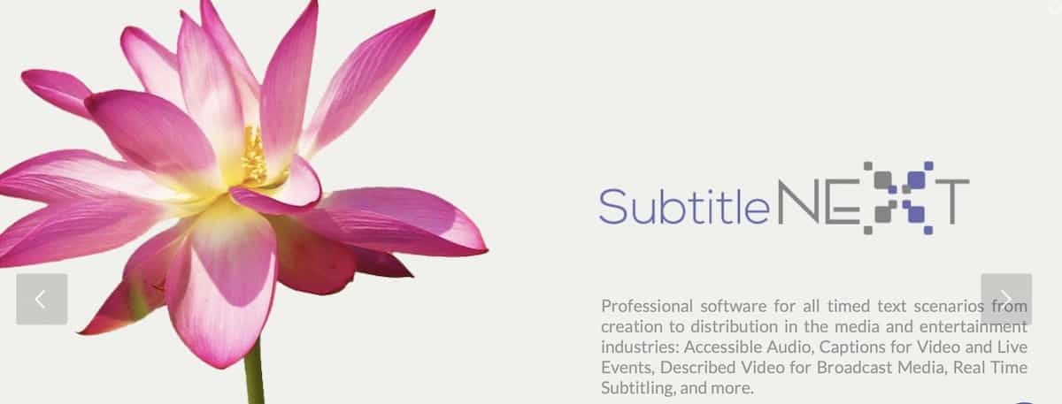 ProfizDigitalSubtitleNExt