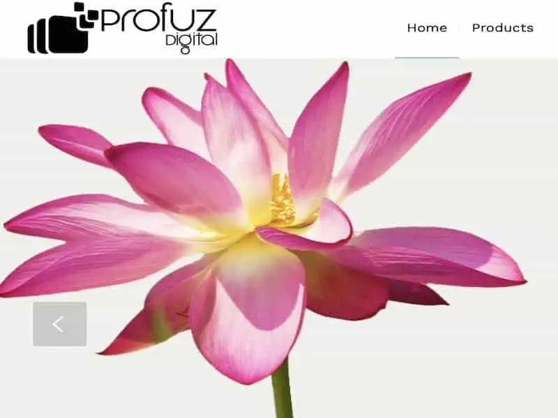 ProfuzDigital