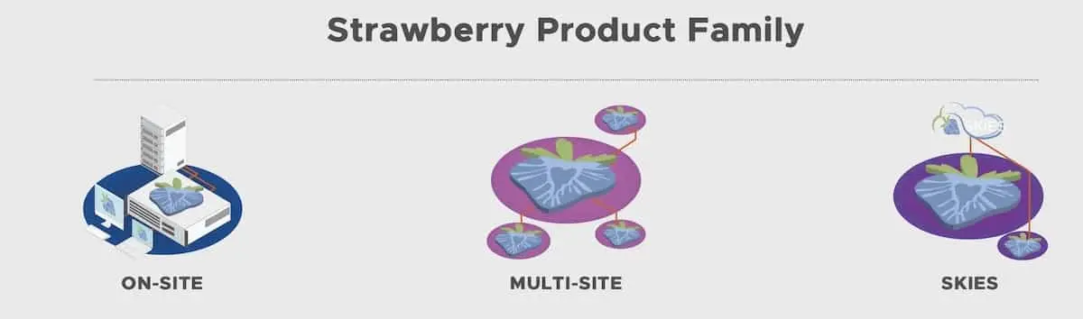 StrawberryFamily